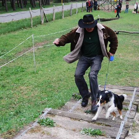 Zum Pferdestall Dom wakacyjny *