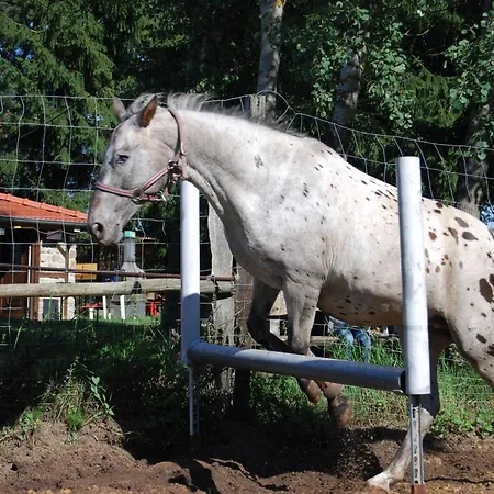 Zum Pferdestall Hébergement de vacances Dreetz
