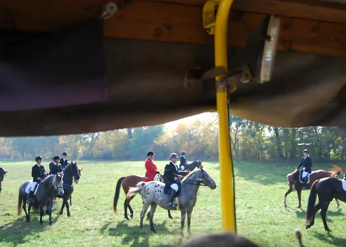 Сasa de vacaciones Zum Pferdestall Dreetz