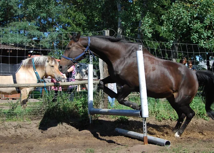 Сasa de vacaciones Zum Pferdestall