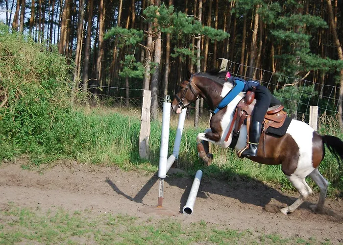 Hébergement de vacances Zum Pferdestall Dreetz
