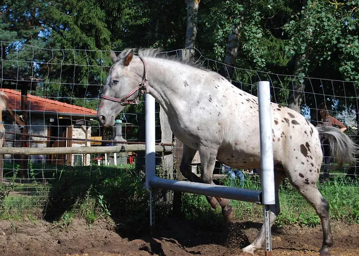 Zum Pferdestall Сasa de vacaciones Dreetz